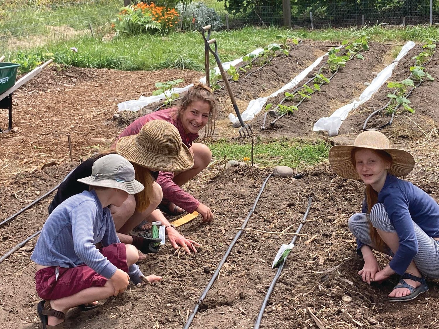 Cabbett Kuzma, Holly Kuzma, Emma Reisman, and Anora Kuzma have planted, saved, and shared locally developed shelling bush bean seeds at Shooting Star Farm, a community-based work-trade CSA in Port Townsend.
